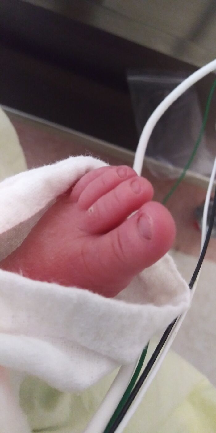 Hey Pandas, Share The Prettiest Photo In Your Camera Roll (Closed) Hey Pandas, Share The Prettiest Photo In Your Camera Roll (Closed)