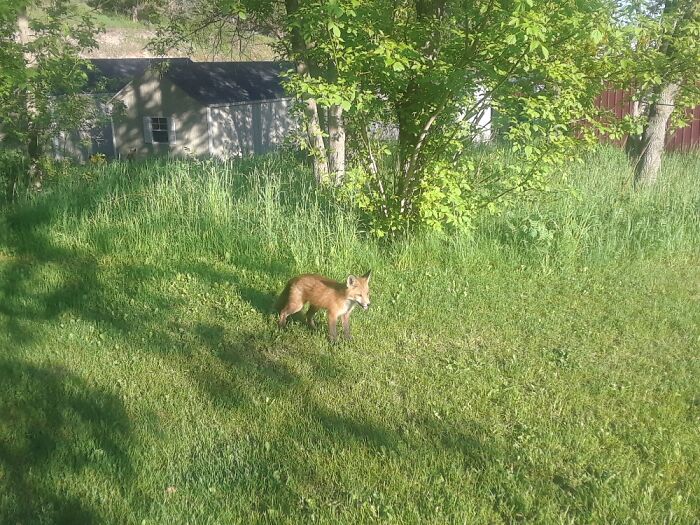 Hey Pandas, Share The Prettiest Photo In Your Camera Roll (Closed) Hey Pandas, Share The Prettiest Photo In Your Camera Roll (Closed)