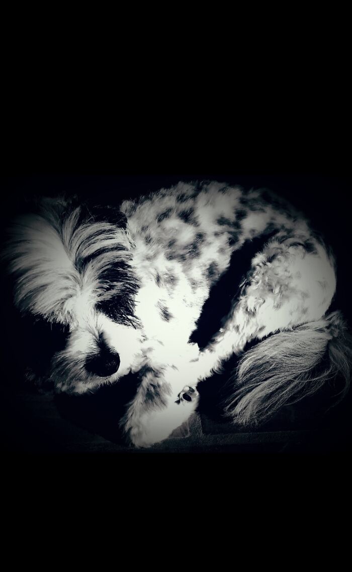 Hey Pandas, Share The Prettiest Photo In Your Camera Roll (Closed) Hey Pandas, Share The Prettiest Photo In Your Camera Roll (Closed)