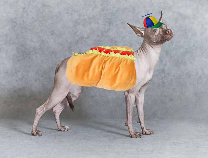 Hey Pandas, Make Him Cute, Even Though He Already Is (Closed)