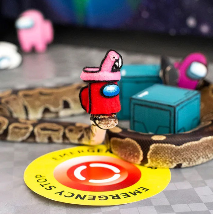 Turns Out, Hats On Snakes Are A Thing And There’s A Community Celebrating It (40 Pics) Turns Out, Hats On Snakes Are A Thing And There’s A Community Celebrating It (40 Pics)