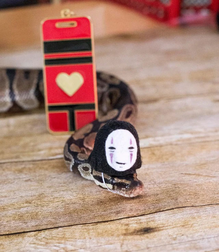 Turns Out, Hats On Snakes Are A Thing And There’s A Community Celebrating It (40 Pics) Turns Out, Hats On Snakes Are A Thing And There’s A Community Celebrating It (40 Pics)