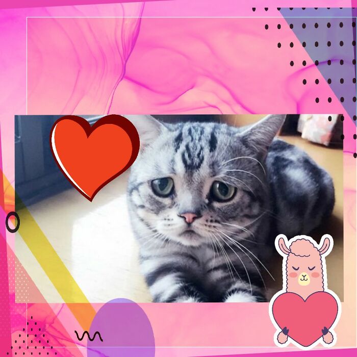 Pandas, Photoshop The Best Image You Can (Closed) Pandas, Photoshop The Best Image You Can (Closed)