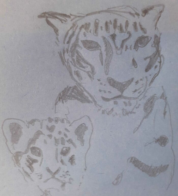 Hey Pandas, Draw A Snow Leopard! (Closed)