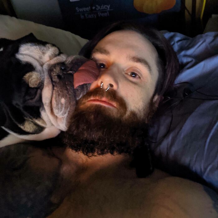 “What’s Wrong With Your Dog?”: People Are Posting Pictures Of ‘Malfunctioning’ Dogs “What’s Wrong With Your Dog?”: People Are Posting Pictures Of ‘Malfunctioning’ Dogs