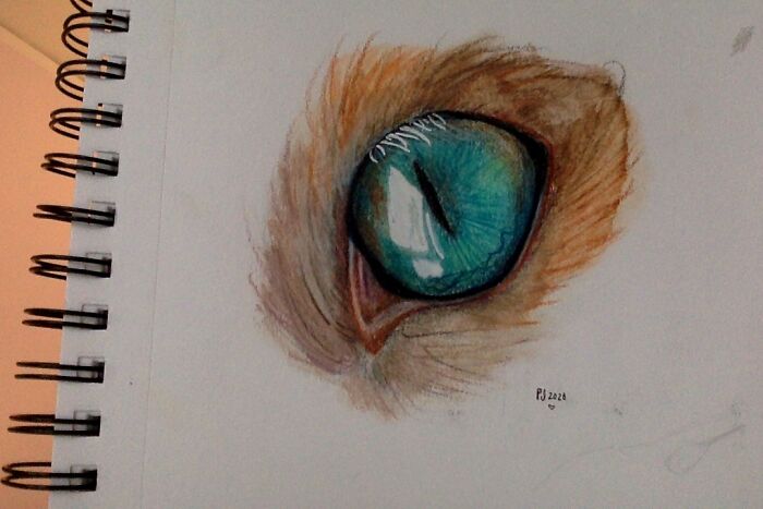 Hey Pandas, Post A Picture Of Your Weirdest, Most Random Hobby (Closed) Hey Pandas, Post A Picture Of Your Weirdest, Most Random Hobby (Closed)