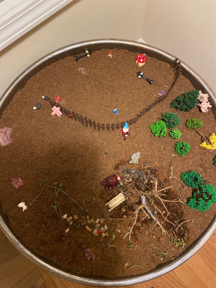 Hey Pandas, Post A Picture Of Your Weirdest, Most Random Hobby (Closed) Hey Pandas, Post A Picture Of Your Weirdest, Most Random Hobby (Closed)