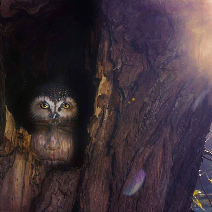 Artist Transforms Human Body Into Incredible Optical Illusions (70 pics) Artist Transforms Human Body Into Incredible Optical Illusions (70 pics)