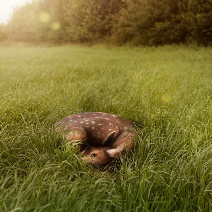 Artist Transforms Human Body Into Incredible Optical Illusions (70 pics) Artist Transforms Human Body Into Incredible Optical Illusions (70 pics)