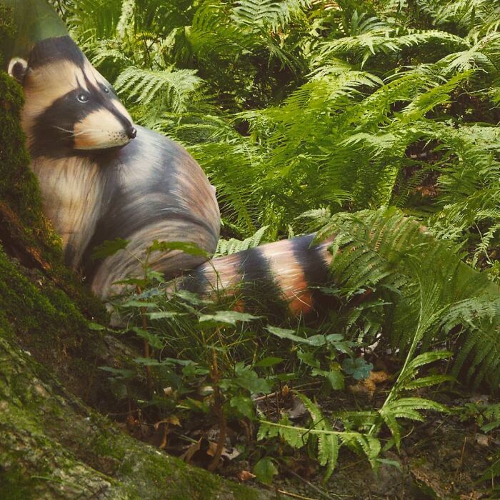 Artist Transforms Human Body Into Incredible Optical Illusions (70 pics) Artist Transforms Human Body Into Incredible Optical Illusions (70 pics)