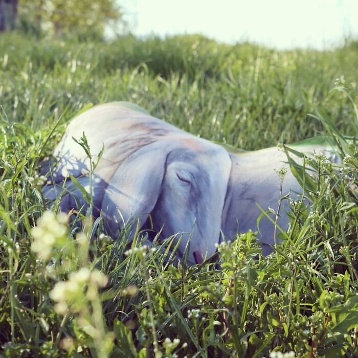 Artist Transforms Human Body Into Incredible Optical Illusions (70 pics) Artist Transforms Human Body Into Incredible Optical Illusions (70 pics)