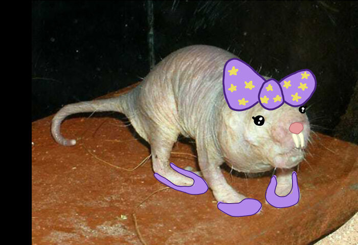 Hey Pandas, How About You Try To Make Him Cute? (Closed) Hey Pandas, How About You Try To Make Him Cute? (Closed)