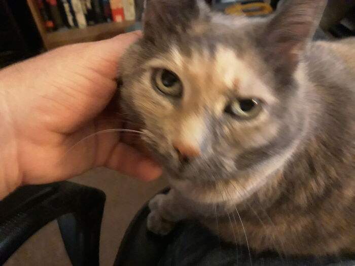 Hey Pandas, Post A Selfie With Your Pet (Closed) Hey Pandas, Post A Selfie With Your Pet (Closed)