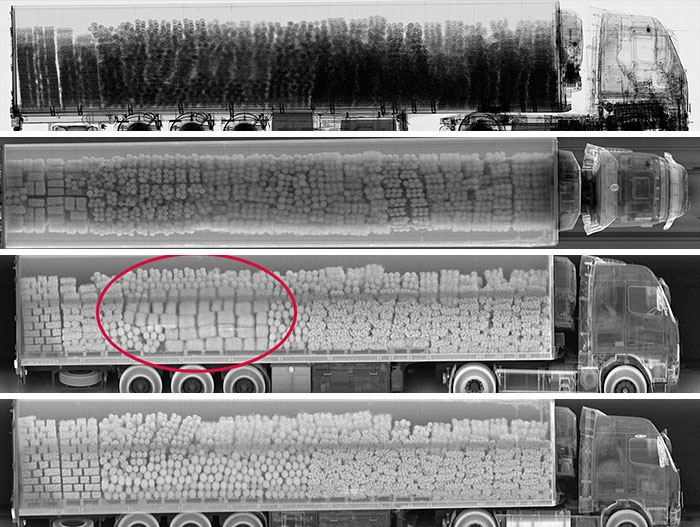 50 Times People X-Rayed Things And Got Interesting Results