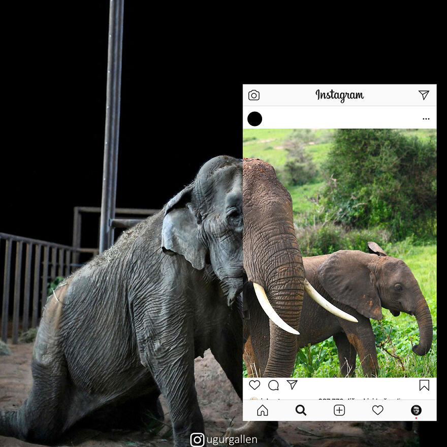 My 30 New Collages Show The Parallel Universes That Today’s People Live In My 30 New Collages Show The Parallel Universes That Today’s People Live In