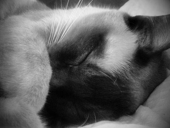 People Share 30 Creepy Unexplainable Things That Happened To Them People Share 30 Creepy Unexplainable Things That Happened To Them