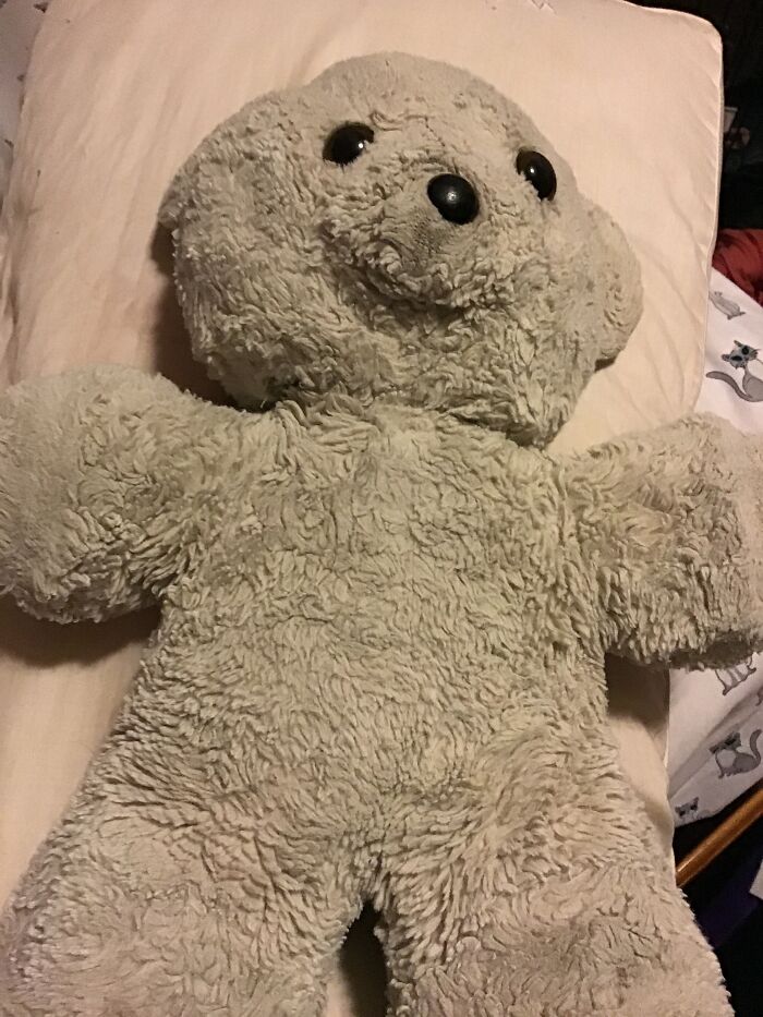 Hey Pandas, What’s Your Most Prized Possession That’s Not A Living Thing? (Closed) Hey Pandas, What’s Your Most Prized Possession That’s Not A Living Thing? (Closed)