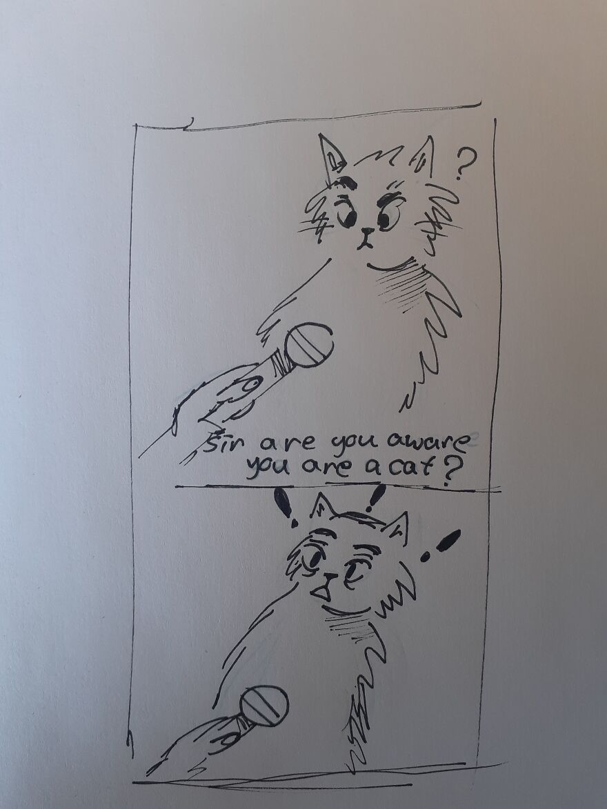 Hey Pandas, Draw This Cat Meme (Closed)