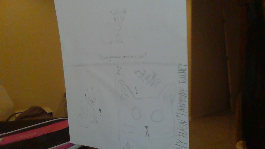 Hey Pandas, Draw This Cat Meme (Closed)