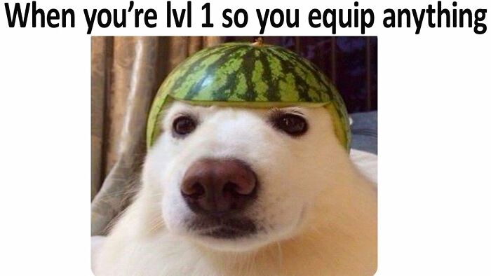 Hey Pandas, Add A Funny, Wholesome Meme To Lift Our Spirits (Closed) Hey Pandas, Add A Funny, Wholesome Meme To Lift Our Spirits (Closed)