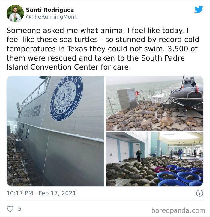 Texans Are Bringing Farm And Wild Animals Inside To Keep Them Warm During The Cold Wave (19 Pics) Texans Are Bringing Farm And Wild Animals Inside To Keep Them Warm During The Cold Wave (19 Pics)