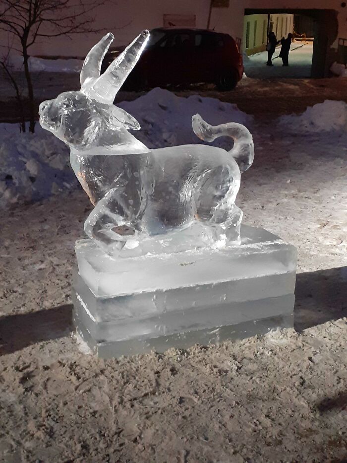 Hey Pandas, Show Beauty In Ice (Closed)