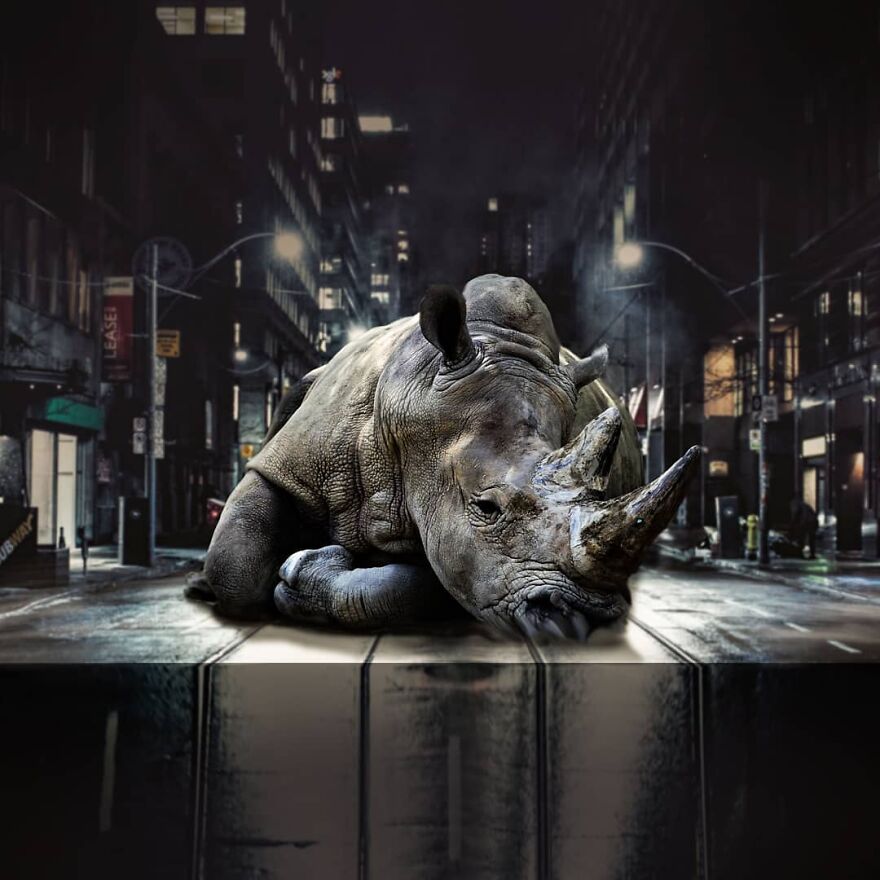 131 Surreal Photo Manipulations That Challenge Logic By Hansruedi Ramsauer 131 Surreal Photo Manipulations That Challenge Logic By Hansruedi Ramsauer