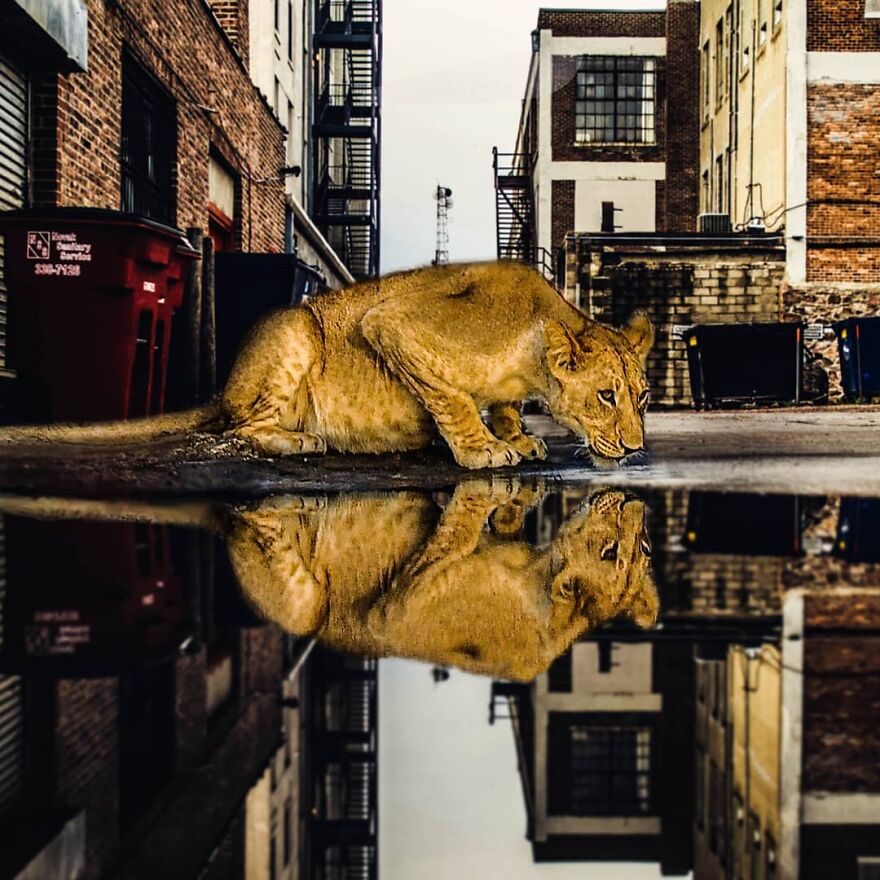 131 Surreal Photo Manipulations That Challenge Logic By Hansruedi Ramsauer 131 Surreal Photo Manipulations That Challenge Logic By Hansruedi Ramsauer