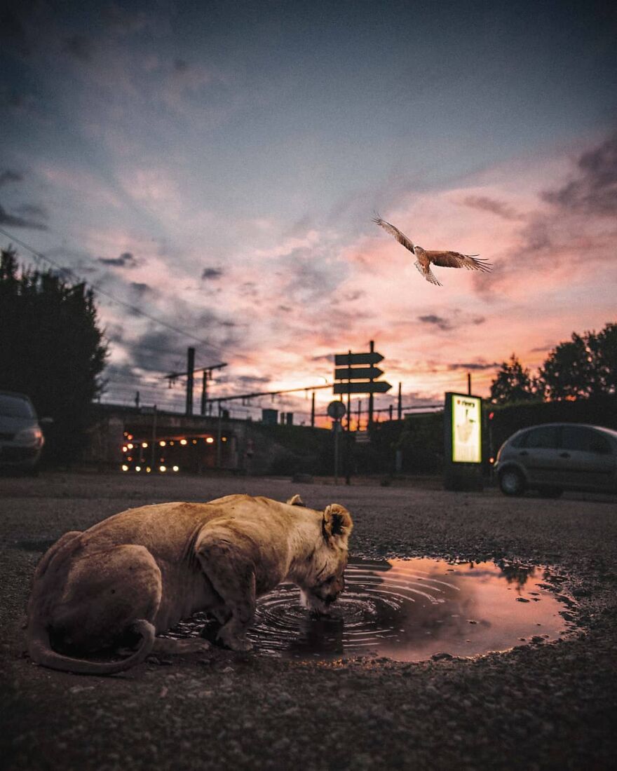 131 Surreal Photo Manipulations That Challenge Logic By Hansruedi Ramsauer 131 Surreal Photo Manipulations That Challenge Logic By Hansruedi Ramsauer