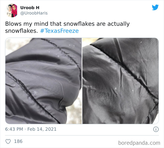 40 Pics Showing How Texas Is Dealing With The Coldest Weather In Over 30 Years 40 Pics Showing How Texas Is Dealing With The Coldest Weather In Over 30 Years