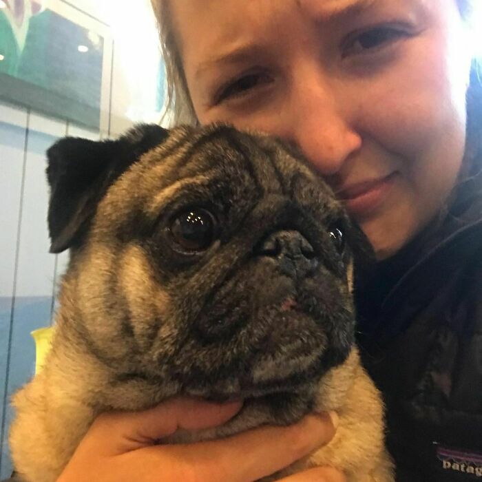 50 Pics Showing Missing Dogs Returning To Their Homes That Might Get You Teary-Eyed 50 Pics Showing Missing Dogs Returning To Their Homes That Might Get You Teary-Eyed