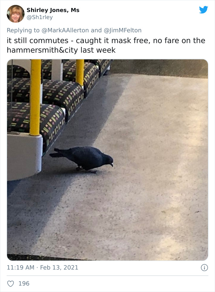 People Are Sharing The Most Bizarre Things They’ve Seen On Public Transport (45 Tweets) People Are Sharing The Most Bizarre Things They’ve Seen On Public Transport (45 Tweets)