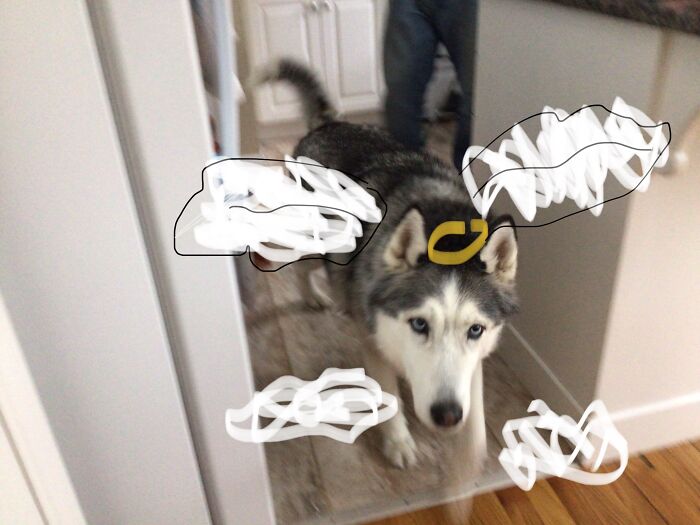 Hey Pandas, What’s The Best Gift You’ve Ever Had? (Closed) Hey Pandas, What’s The Best Gift You’ve Ever Had? (Closed)