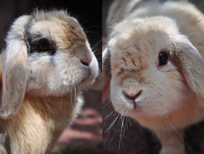 Hey Pandas, What’s The Best Gift You’ve Ever Had? (Closed) Hey Pandas, What’s The Best Gift You’ve Ever Had? (Closed)