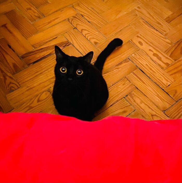 Hey Pandas, What’s The Best Gift You’ve Ever Had? (Closed) Hey Pandas, What’s The Best Gift You’ve Ever Had? (Closed)