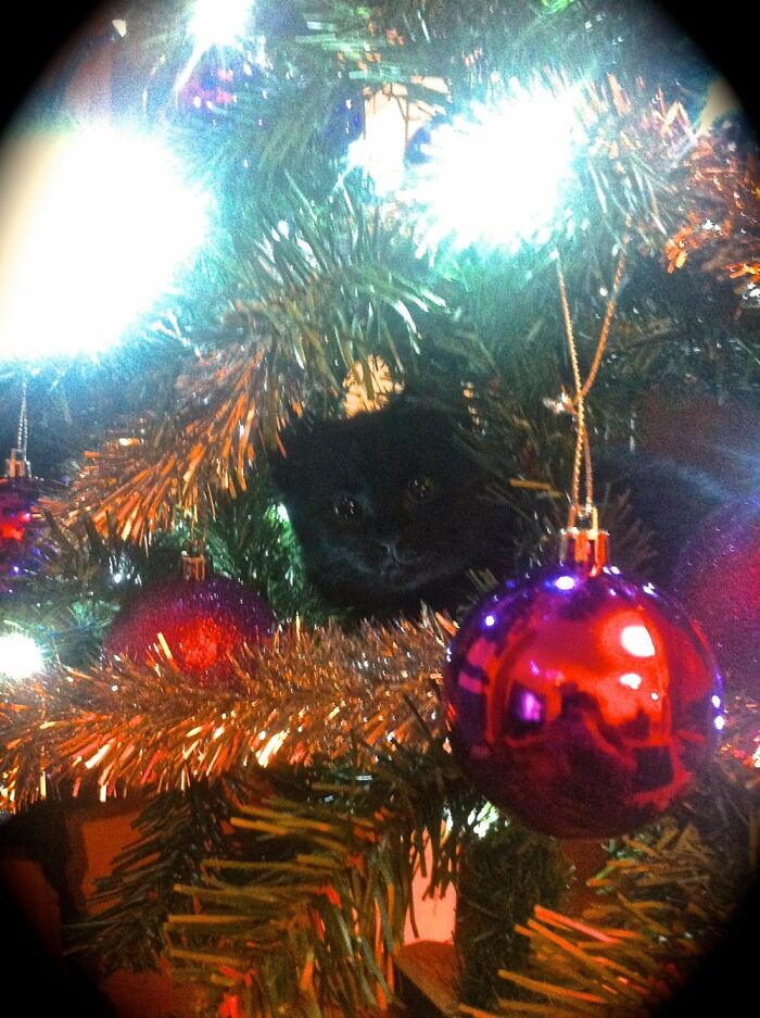 Hey Pandas, What’s The Best Gift You’ve Ever Had? (Closed) Hey Pandas, What’s The Best Gift You’ve Ever Had? (Closed)