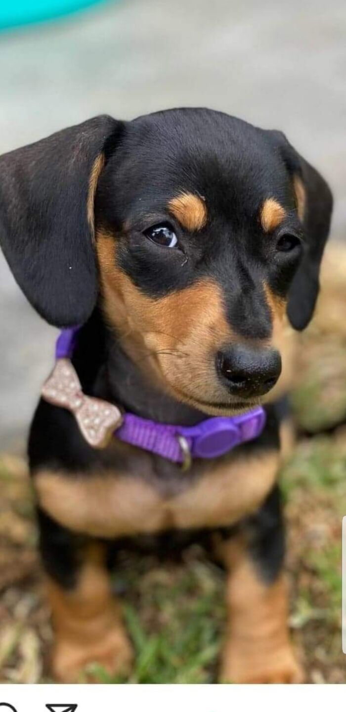 Hey Pandas, What’s The Best Gift You’ve Ever Had? (Closed) Hey Pandas, What’s The Best Gift You’ve Ever Had? (Closed)