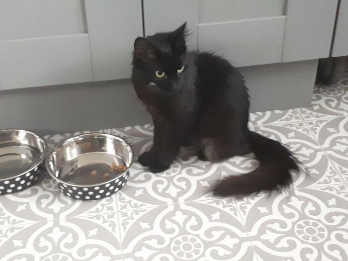 Hey Pandas, What’s The Best Gift You’ve Ever Had? (Closed) Hey Pandas, What’s The Best Gift You’ve Ever Had? (Closed)