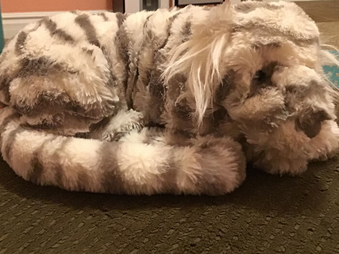 Hey Pandas, What’s The Best Gift You’ve Ever Had? (Closed) Hey Pandas, What’s The Best Gift You’ve Ever Had? (Closed)