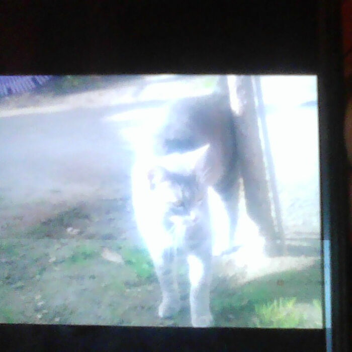 Hey Pandas, What’s The Best Gift You’ve Ever Had? (Closed) Hey Pandas, What’s The Best Gift You’ve Ever Had? (Closed)