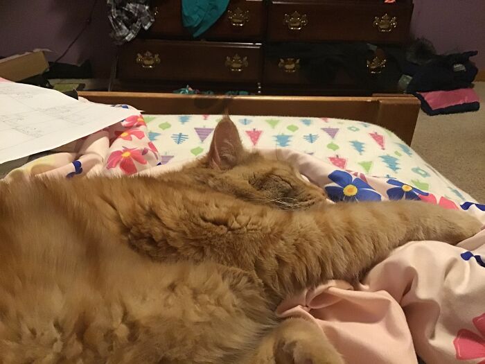 Hey Pandas, What’s The Best Gift You’ve Ever Had? (Closed) Hey Pandas, What’s The Best Gift You’ve Ever Had? (Closed)