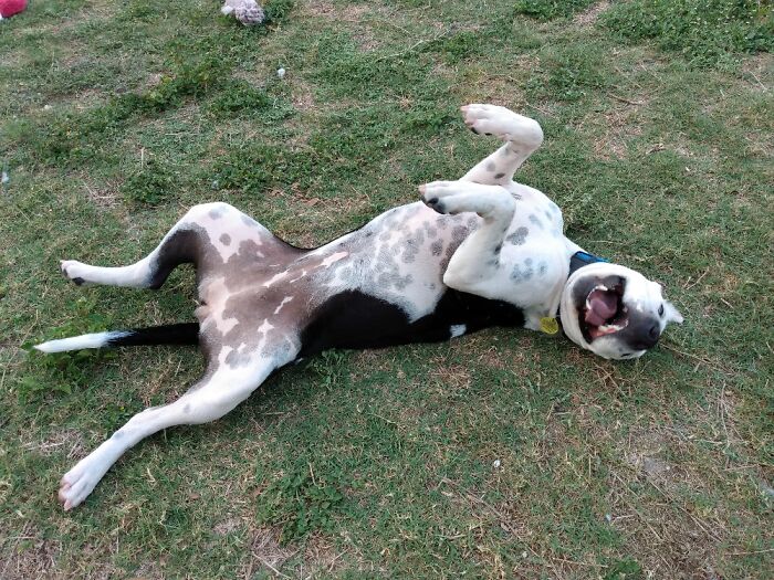 Hey Pandas, What’s The Best Gift You’ve Ever Had? (Closed) Hey Pandas, What’s The Best Gift You’ve Ever Had? (Closed)