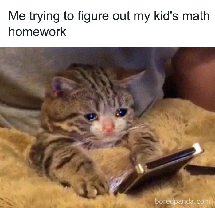 40 Memes For Parents Who Can’t Take Their Kids Learning From Home Anymore 40 Memes For Parents Who Can’t Take Their Kids Learning From Home Anymore