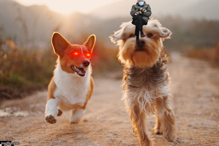 Hey Pandas, Photoshop These Dogs (Closed) Hey Pandas, Photoshop These Dogs (Closed)