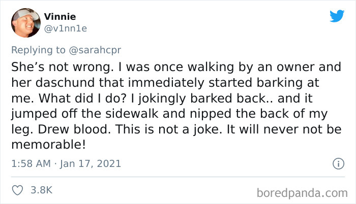 30 Tweets By Dachshund Owners About How It Feels To Have Such Personalities As Pets 30 Tweets By Dachshund Owners About How It Feels To Have Such Personalities As Pets
