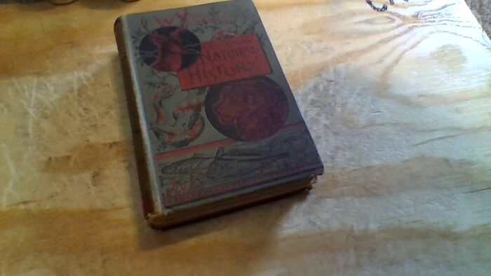 Hey Pandas, What Is The Oldest Item In Your Possession? (Closed) Hey Pandas, What Is The Oldest Item In Your Possession? (Closed)