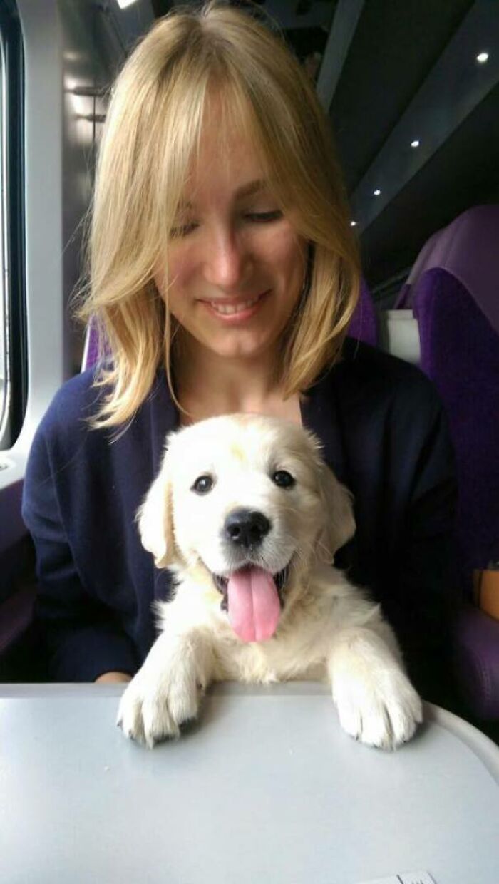 50 Animals Who Had To Travel And Still Behaved More Civilized Than Many People 50 Animals Who Had To Travel And Still Behaved More Civilized Than Many People