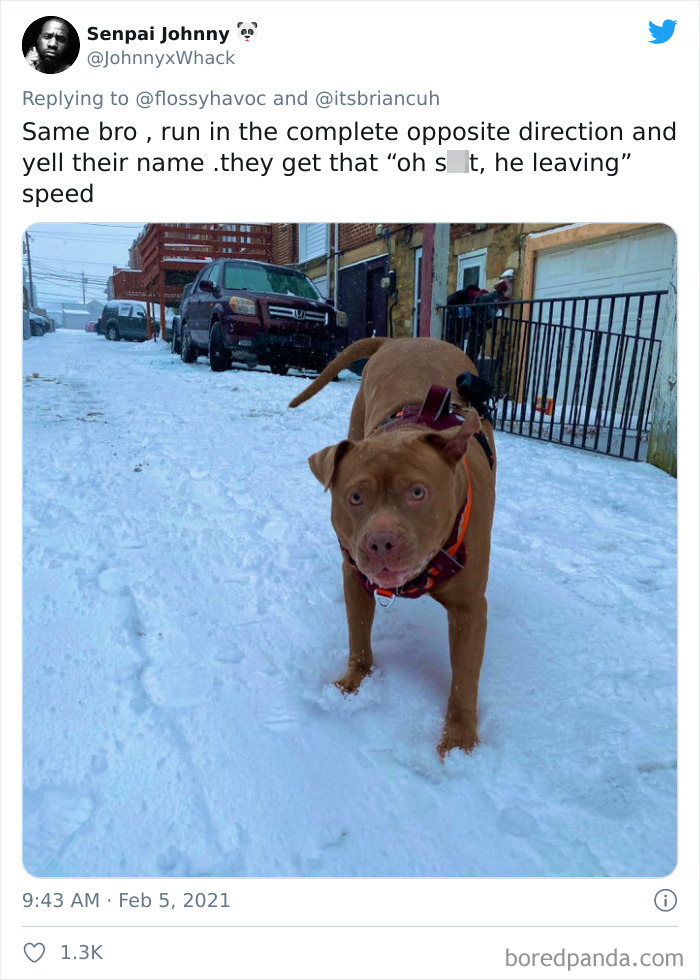 Frustrated Owners Share Stories About How Hard It Is To Catch A Dog Once It Runs Away (30 Pics) Frustrated Owners Share Stories About How Hard It Is To Catch A Dog Once It Runs Away (30 Pics)