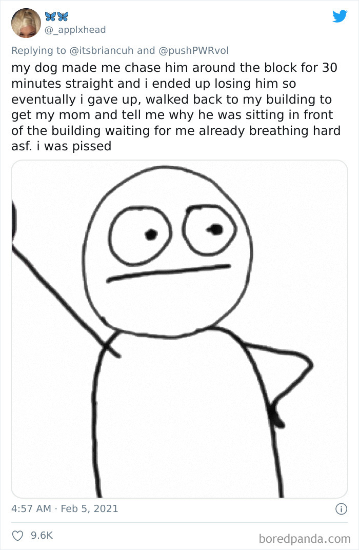 Frustrated Owners Share Stories About How Hard It Is To Catch A Dog Once It Runs Away (30 Pics) Frustrated Owners Share Stories About How Hard It Is To Catch A Dog Once It Runs Away (30 Pics)