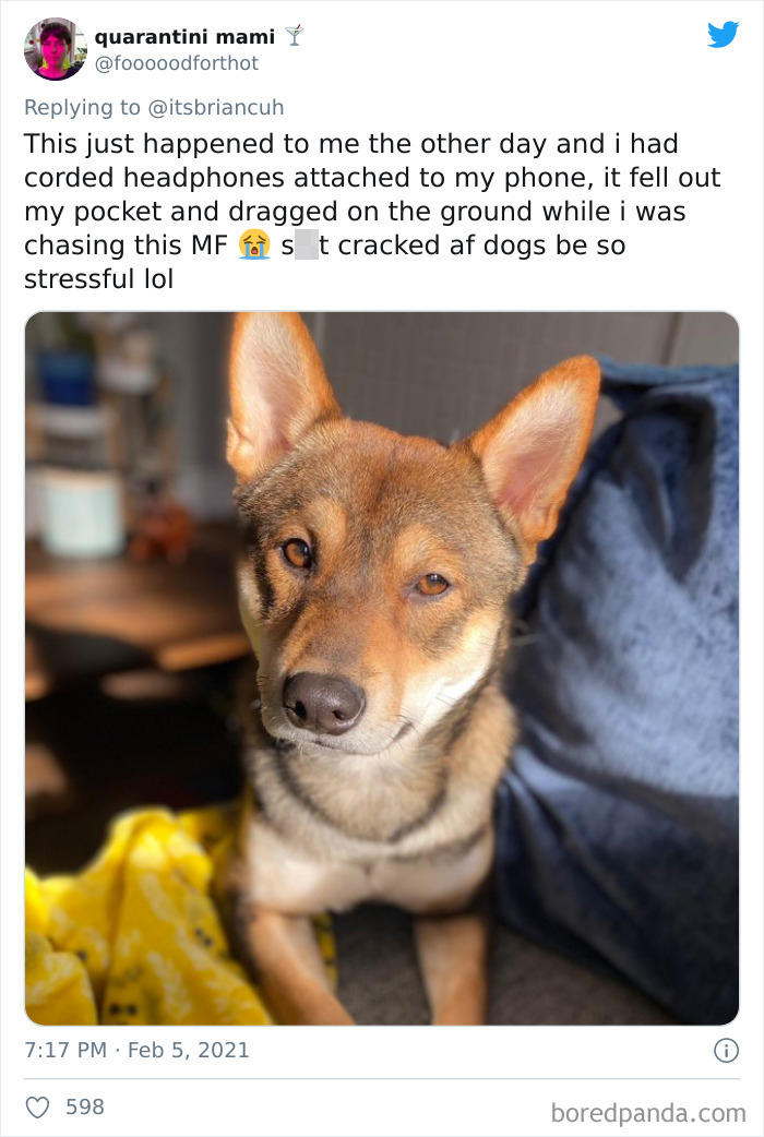 Frustrated Owners Share Stories About How Hard It Is To Catch A Dog Once It Runs Away (30 Pics) Frustrated Owners Share Stories About How Hard It Is To Catch A Dog Once It Runs Away (30 Pics)